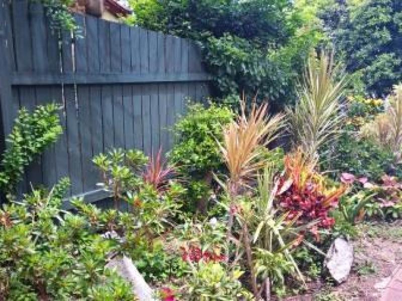 Red Hill, QLD - $180