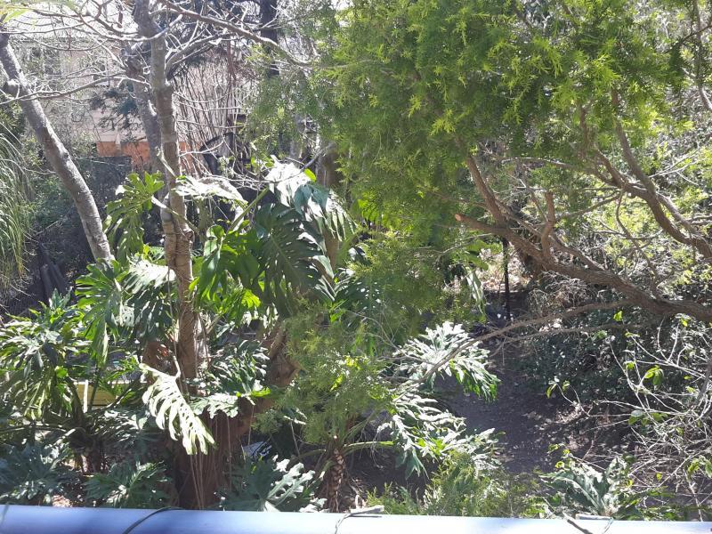 Greenslopes, QLD - $190