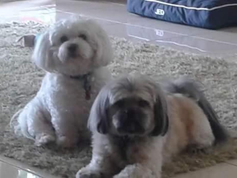 Christchurch, Canterbury - $190