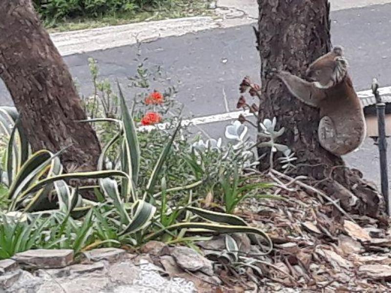 Eden Hills, SA - $240