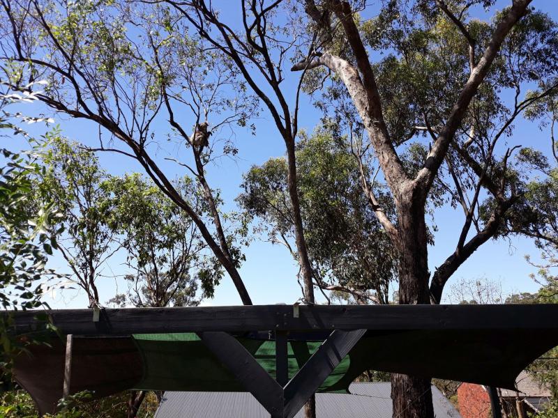 Eden Hills, SA - $240