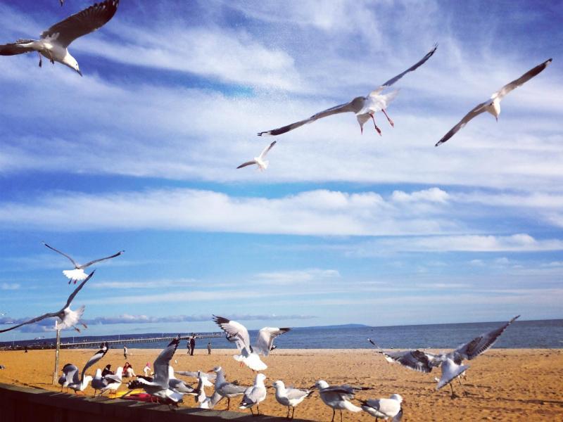 Parkdale, VIC - $330