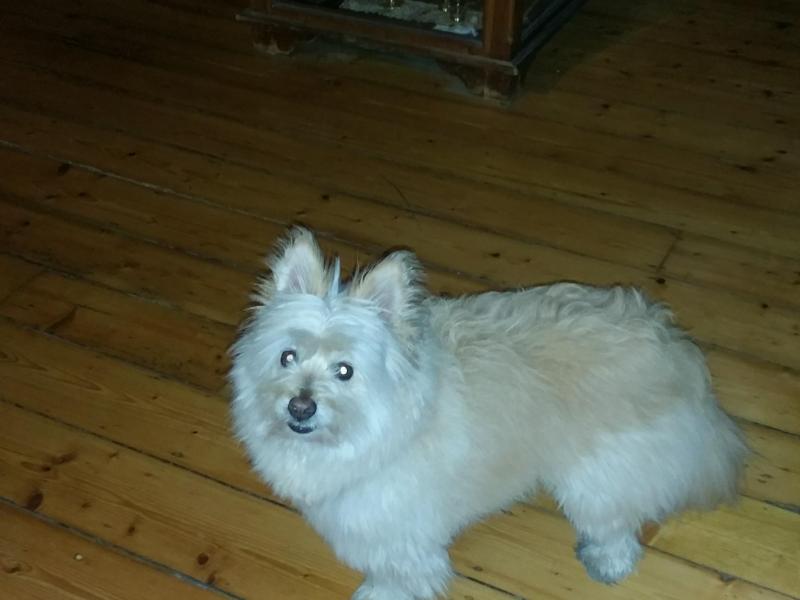 Kingsville, VIC - $360