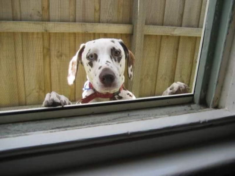 Oakleigh East, VIC - $360