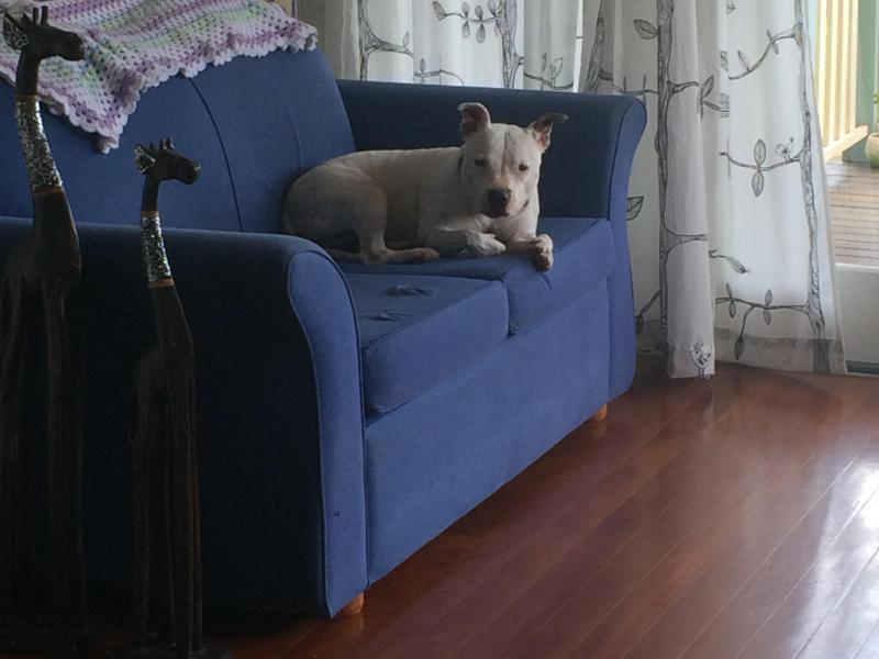 Gracemere, QLD - $260