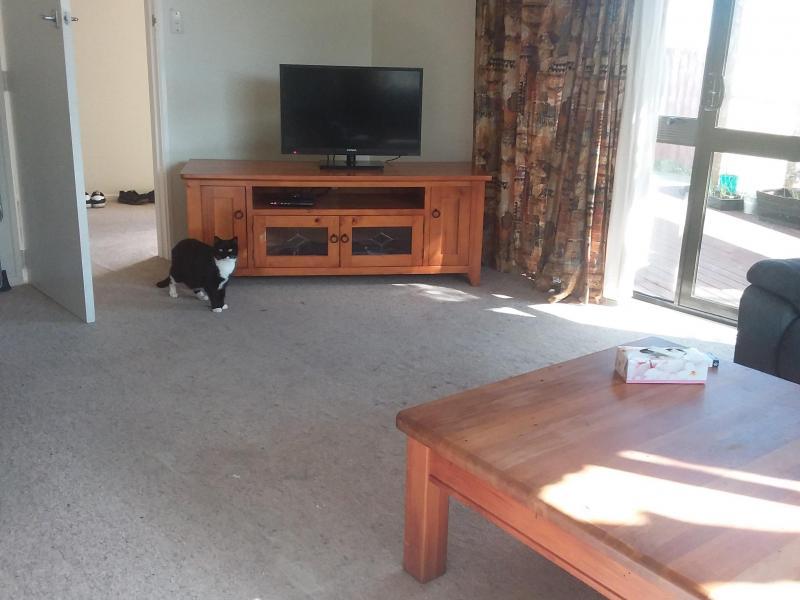 Christchurch, Canterbury - $210