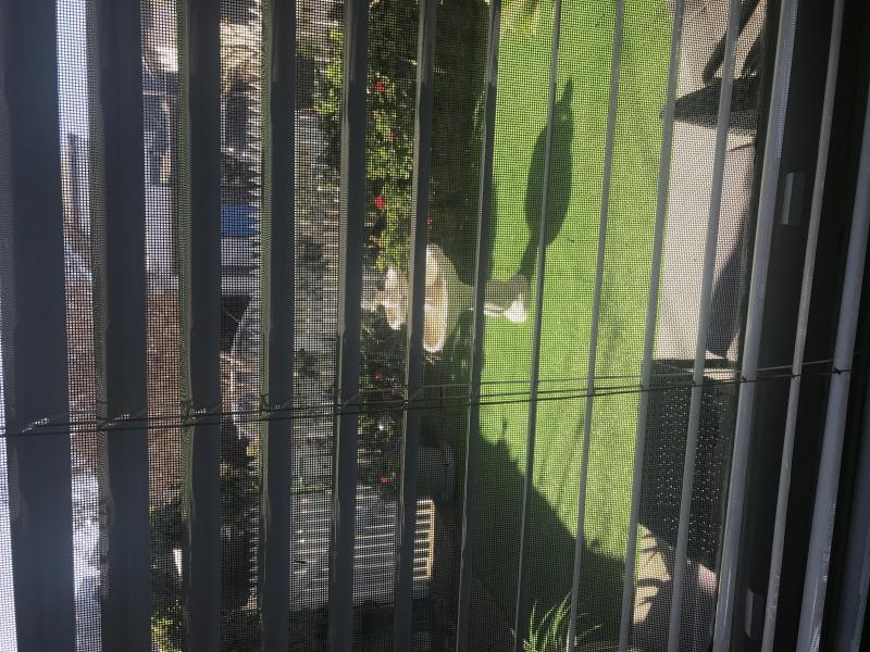 Footscray, VIC - $310