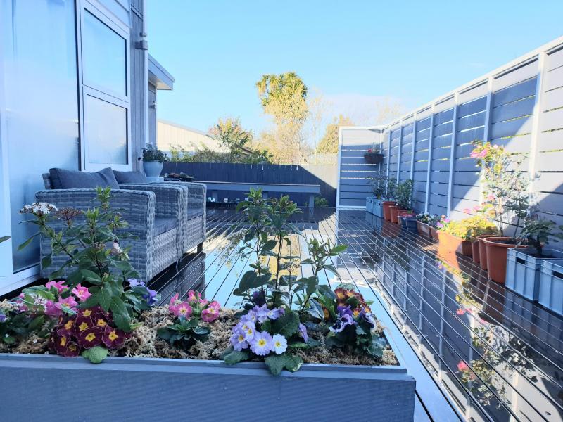 Christchurch, Canterbury - $260