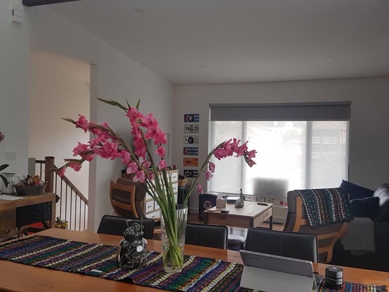 Avondale Heights, VIC - $230