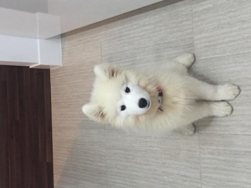 Flagstaff Hill, SA - $310