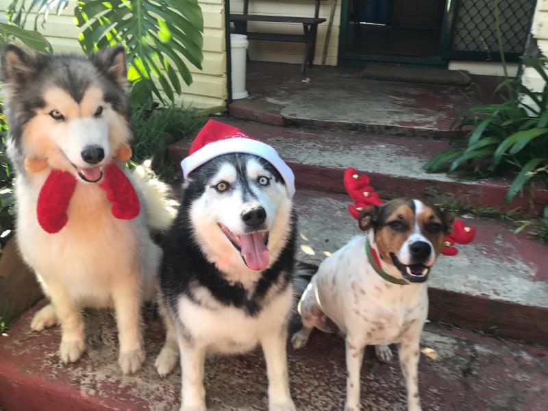 Maroubra, NSW - $290