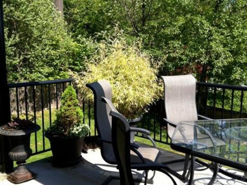 Port Moody, Greater Vancouver, Canada Homestay