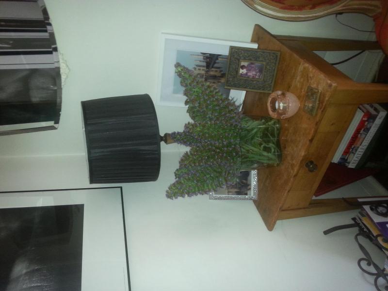 Randwick, NSW - $260