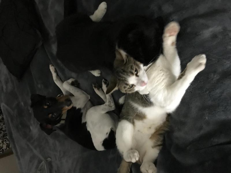 Christchurch, Canterbury - $210