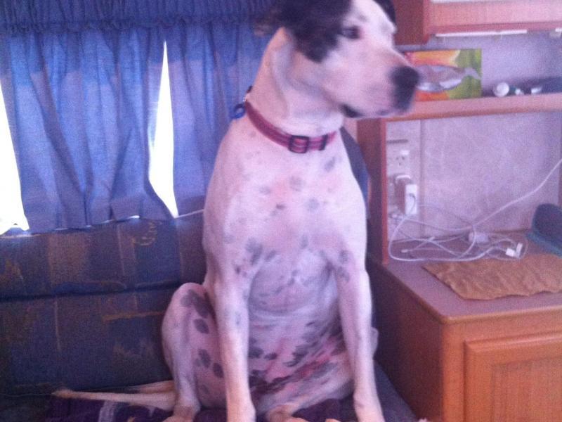 Carnegie, VIC - $310