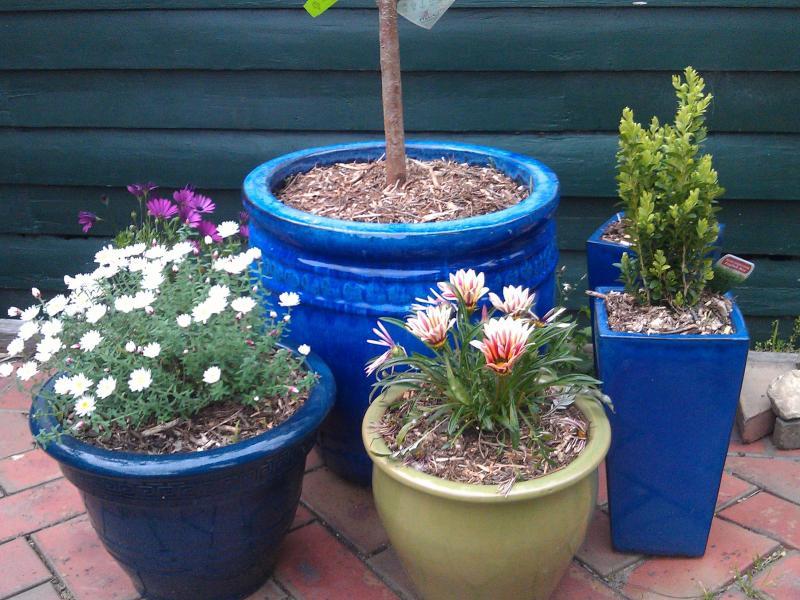 Greensborough, VIC - $310