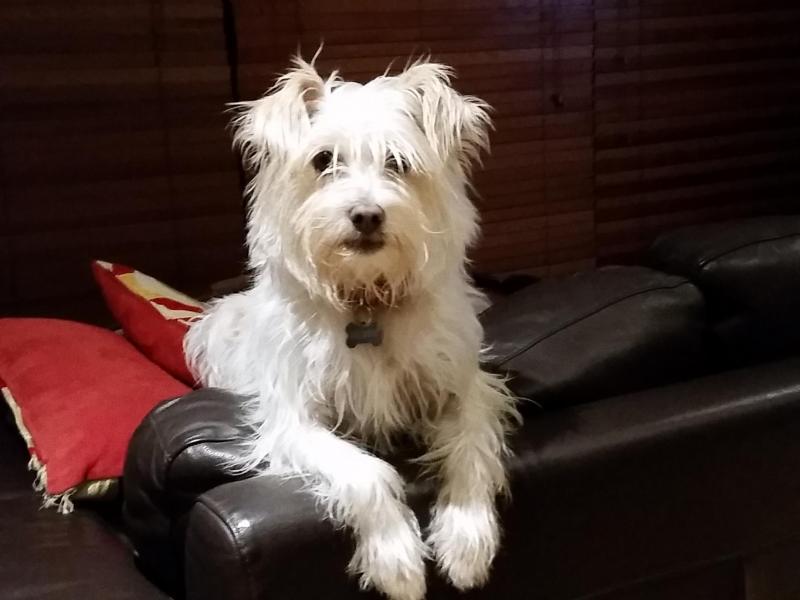 Greensborough, VIC - $310