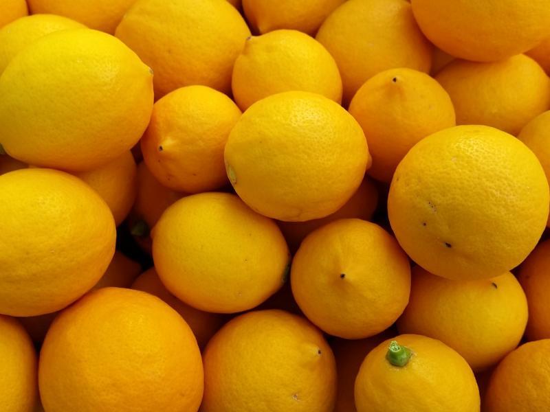 Greensborough, VIC - $310