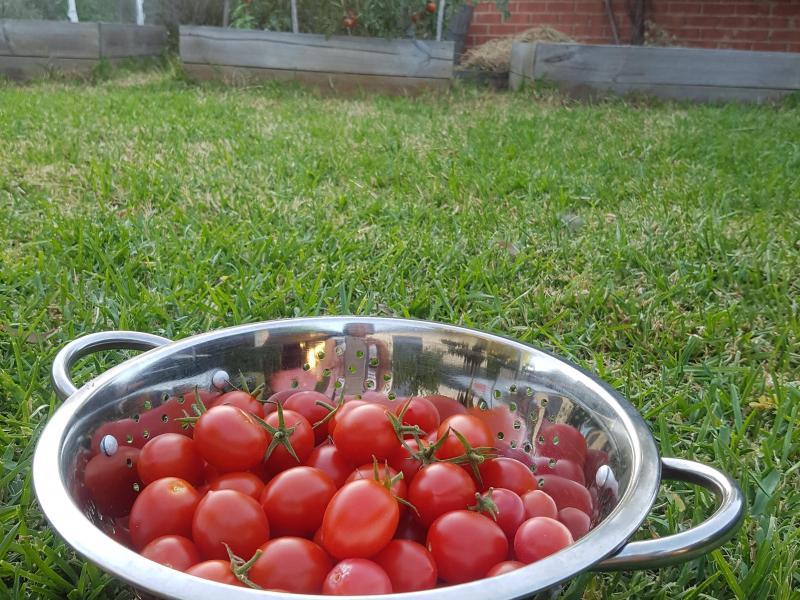 Greensborough, VIC - $310