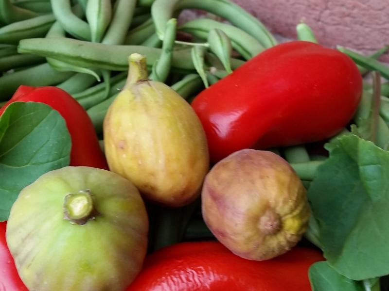 Greensborough, VIC - $310