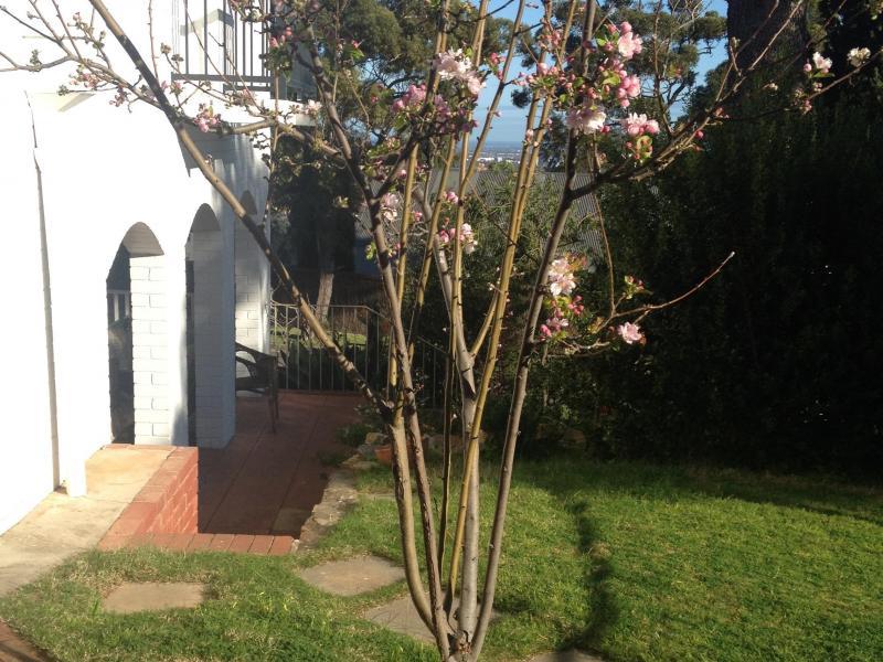 Glen Osmond, SA - $290