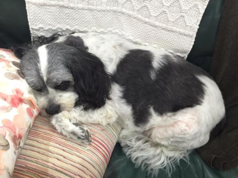 Beulah Park, SA - $310