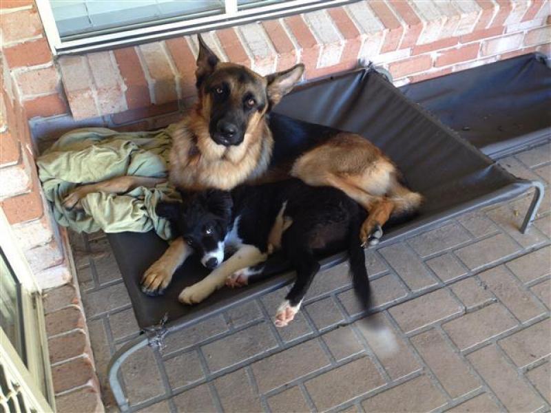 MacKenzie, QLD - $260