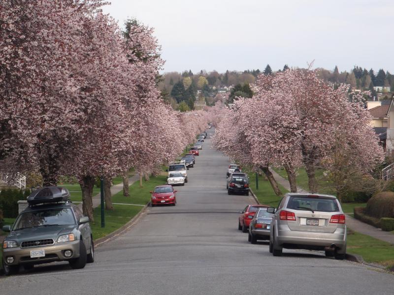 Vancouver, BC - $420