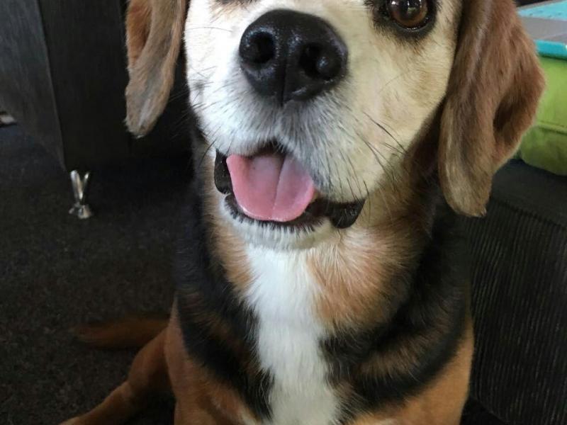 Brighton East, VIC - $310