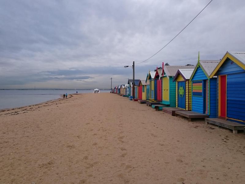 Brighton East, VIC - $310