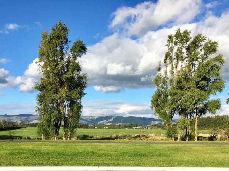 The View from our Guest Room