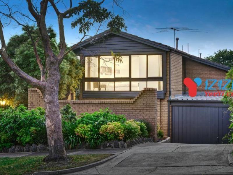 Camberwell, VIC - $310