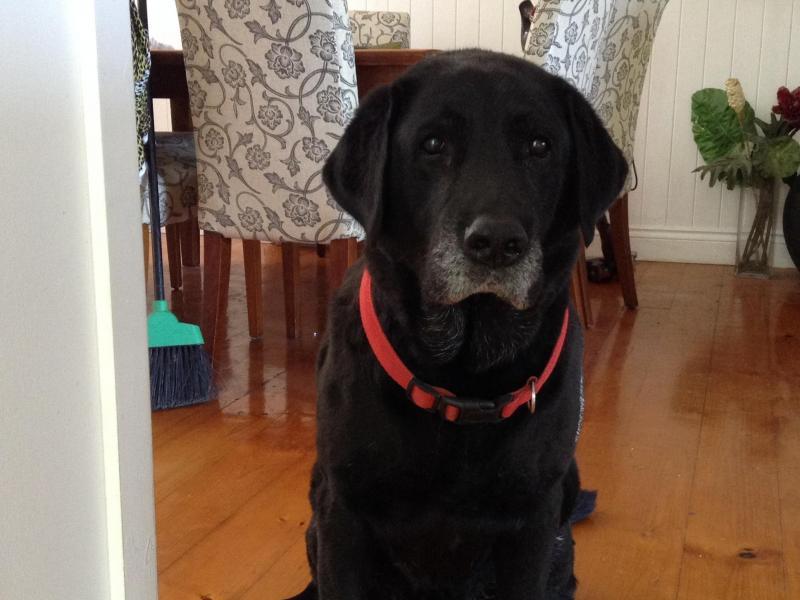 Hawthorne, QLD - $180