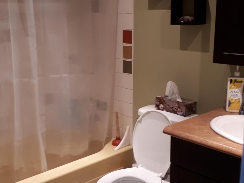 Dollard-des-Ormeaux, QC - $290