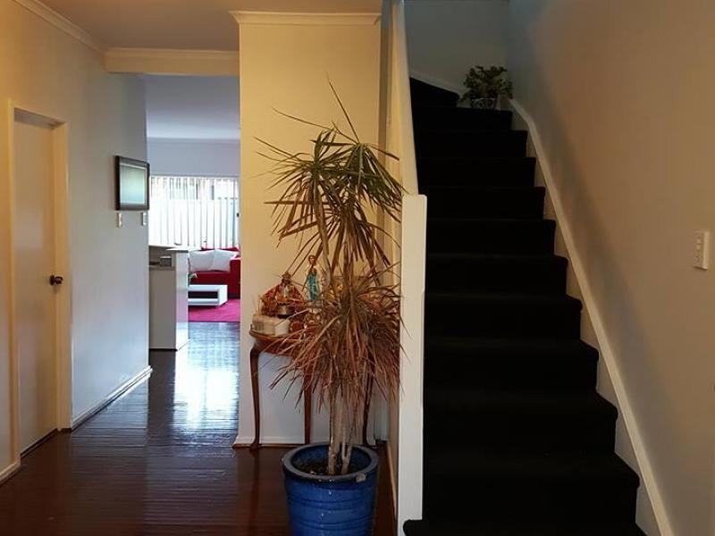 Mawson Lakes, SA - $270