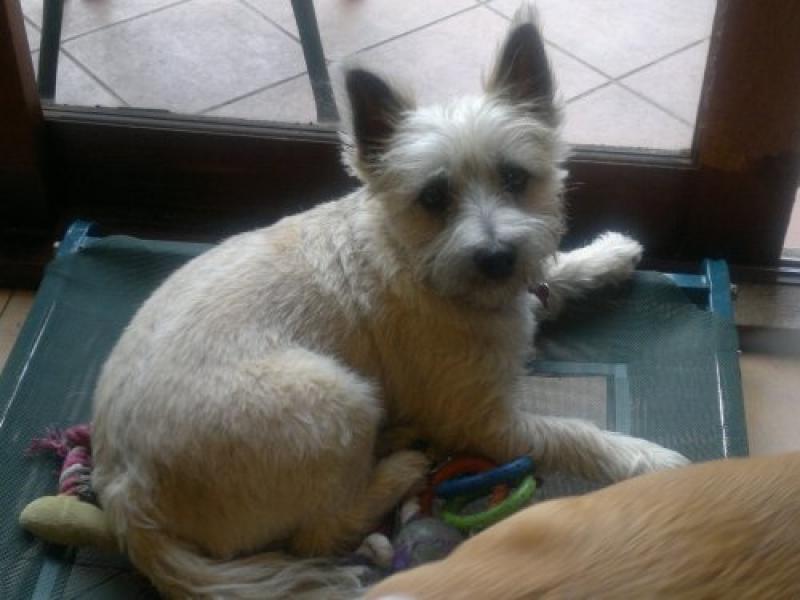 Naremburn, NSW - $330