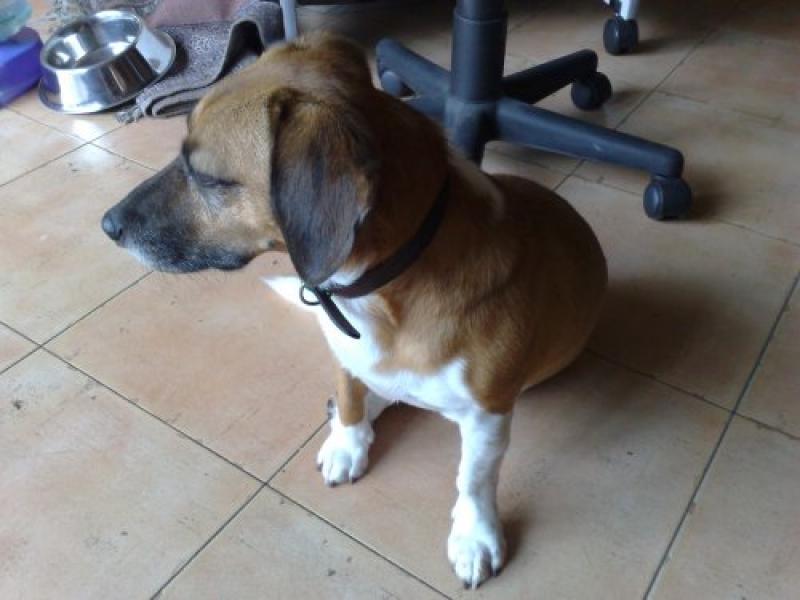 Naremburn, NSW - $330