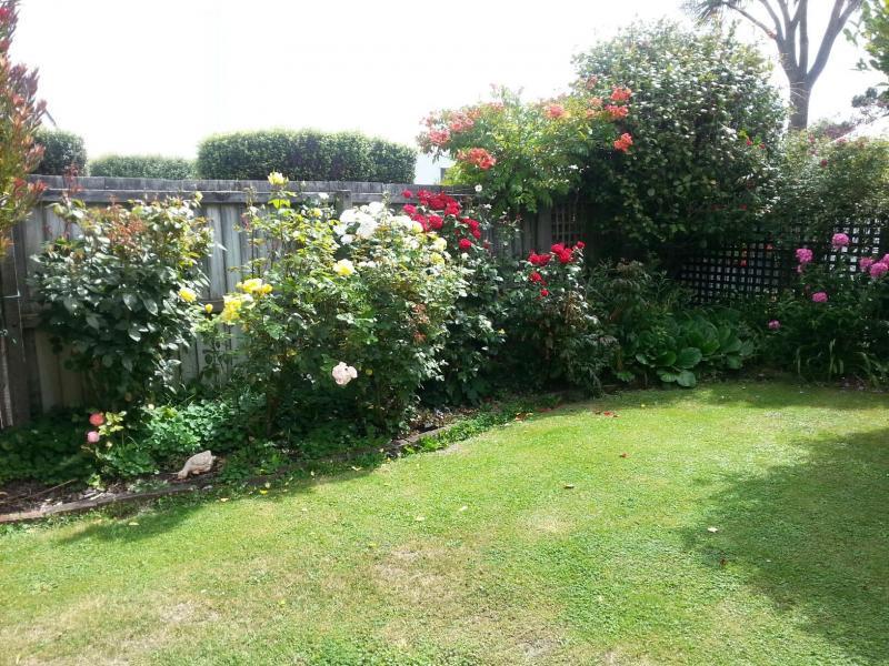 Christchurch, Canterbury - $220