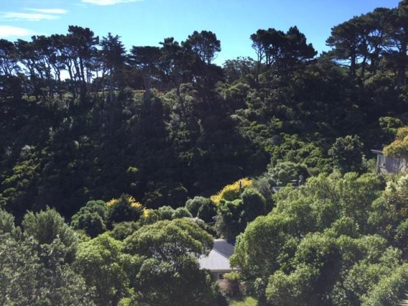 Come home to a restful green view!