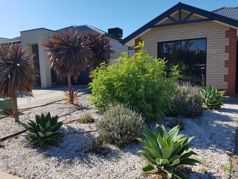 Morphett Vale, SA - $160