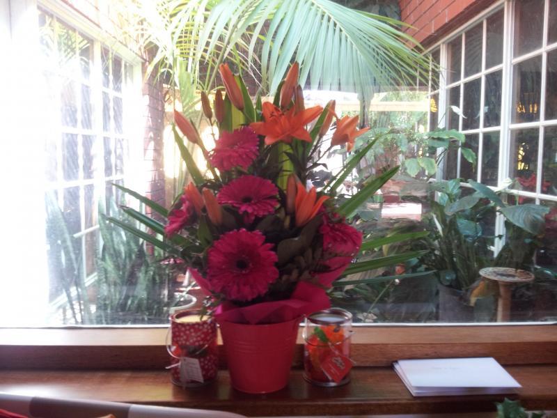 Fulham Gardens, SA - $230